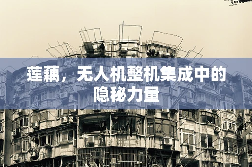 莲藕，无人机整机集成中的隐秘力量