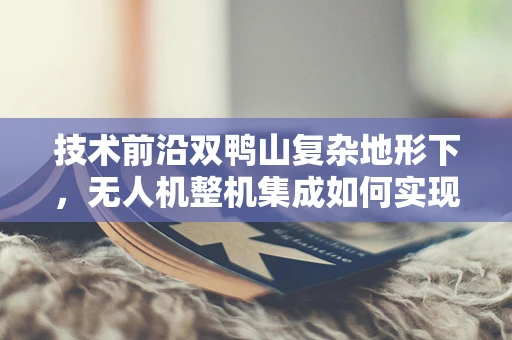 技术前沿双鸭山复杂地形下，无人机整机集成如何实现精准导航与稳定飞行？