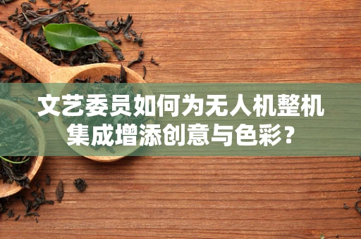 文艺委员如何为无人机整机集成增添创意与色彩？