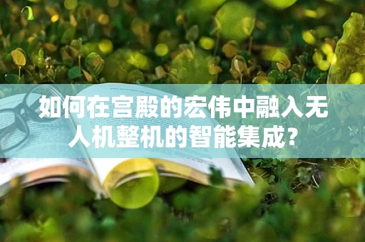 如何在宫殿的宏伟中融入无人机整机的智能集成？