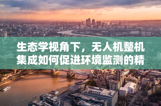 生态学视角下，无人机整机集成如何促进环境监测的精准与高效？