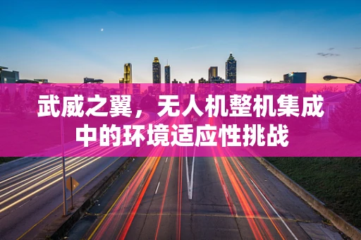 武威之翼，无人机整机集成中的环境适应性挑战