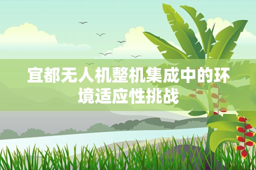 宜都无人机整机集成中的环境适应性挑战