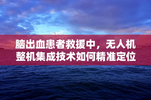 脑出血患者救援中，无人机整机集成技术如何精准定位与快速响应？