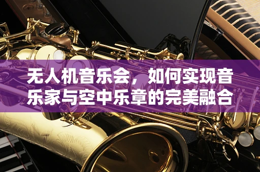 无人机音乐会，如何实现音乐家与空中乐章的完美融合？