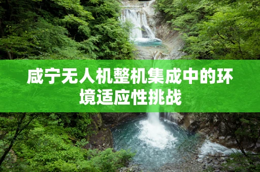 咸宁无人机整机集成中的环境适应性挑战
