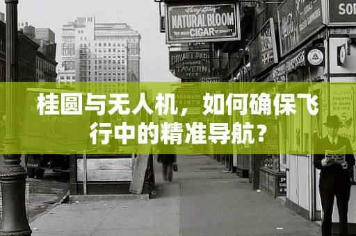 桂圆与无人机，如何确保飞行中的精准导航？