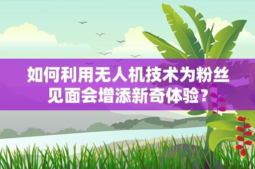 如何利用无人机技术为粉丝见面会增添新奇体验？