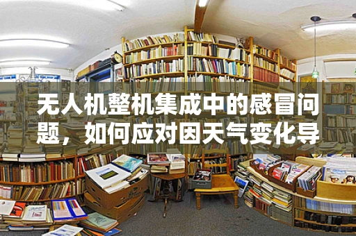 无人机整机集成中的感冒问题，如何应对因天气变化导致的性能波动？