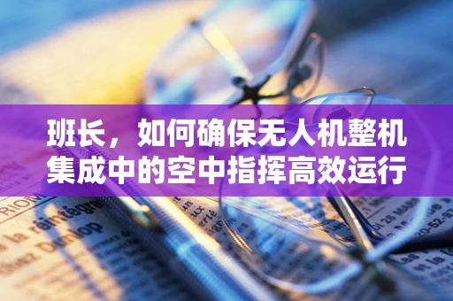 班长，如何确保无人机整机集成中的空中指挥高效运行？