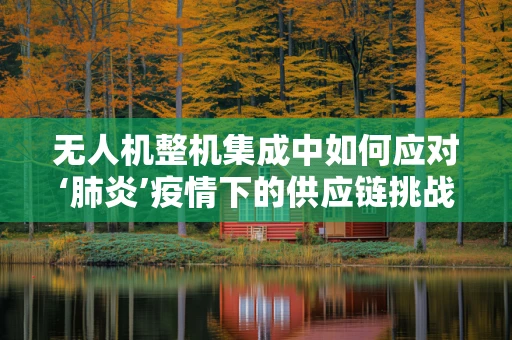 无人机整机集成中如何应对‘肺炎’疫情下的供应链挑战？