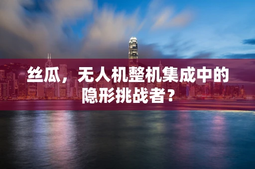 丝瓜，无人机整机集成中的隐形挑战者？