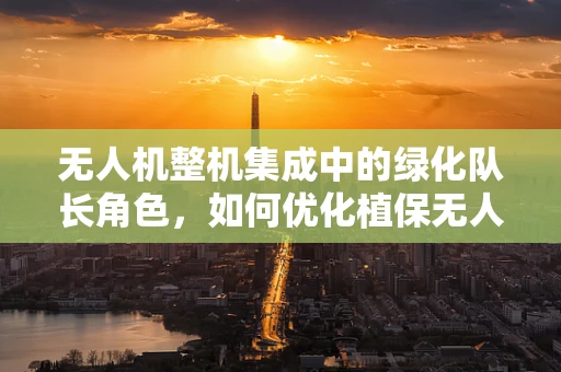 无人机整机集成中的绿化队长角色，如何优化植保无人机任务规划？