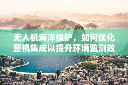 无人机海洋保护，如何优化整机集成以提升环境监测效率？
