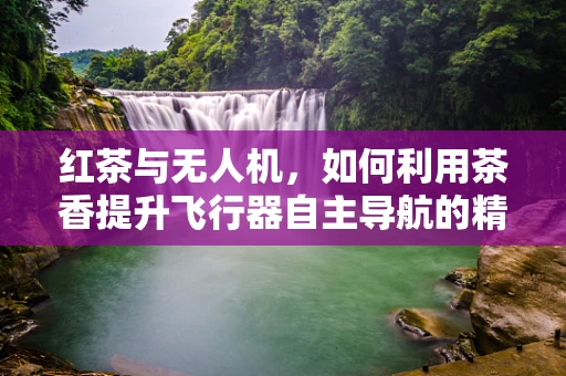 红茶与无人机，如何利用茶香提升飞行器自主导航的精准度？