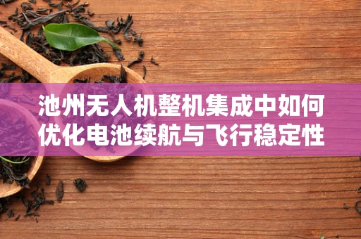 池州无人机整机集成中如何优化电池续航与飞行稳定性？