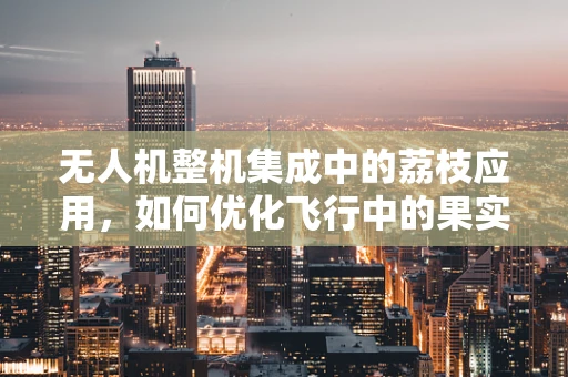 无人机整机集成中的荔枝应用，如何优化飞行中的果实负载稳定性？