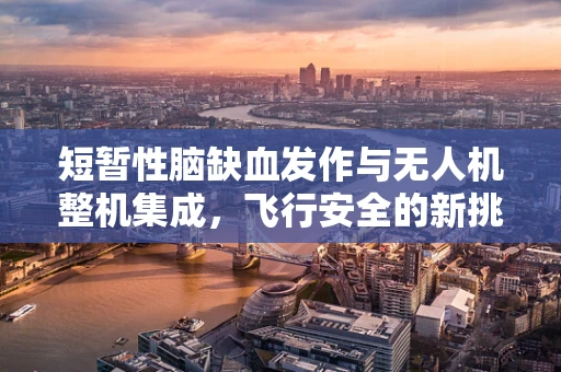 短暂性脑缺血发作与无人机整机集成，飞行安全的新挑战？