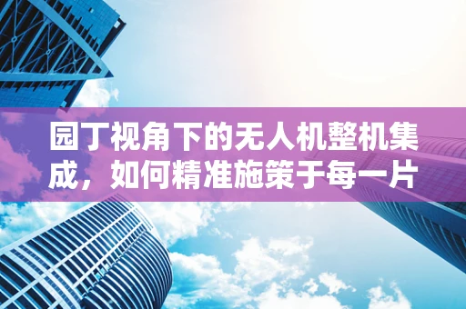 园丁视角下的无人机整机集成，如何精准施策于每一片叶子？