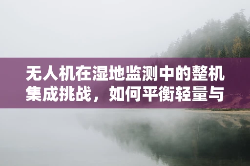 无人机在湿地监测中的整机集成挑战，如何平衡轻量与耐用？