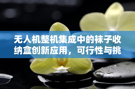 无人机整机集成中的袜子收纳盒创新应用，可行性与挑战何在？