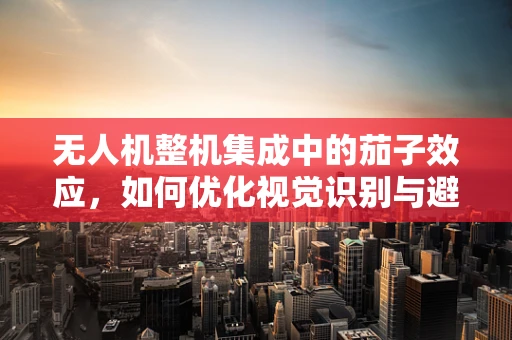 无人机整机集成中的茄子效应，如何优化视觉识别与避障性能？