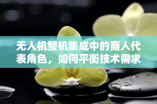 无人机整机集成中的商人代表角色，如何平衡技术需求与市场导向？