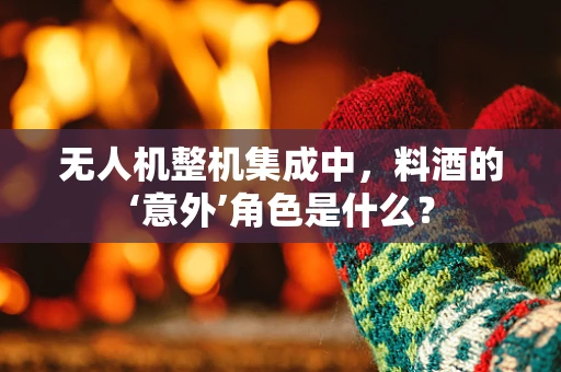 无人机整机集成中，料酒的‘意外’角色是什么？