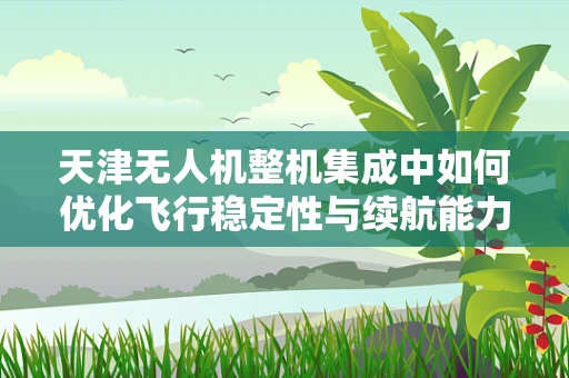 天津无人机整机集成中如何优化飞行稳定性与续航能力？