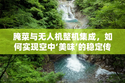 腌菜与无人机整机集成，如何实现空中‘美味’的稳定传输？