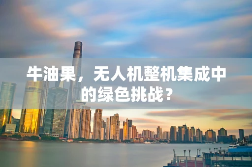 牛油果，无人机整机集成中的绿色挑战？