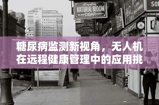 糖尿病监测新视角，无人机在远程健康管理中的应用挑战