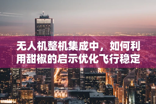 无人机整机集成中，如何利用甜椒的启示优化飞行稳定性？