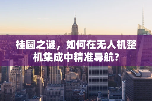 桂圆之谜，如何在无人机整机集成中精准导航？