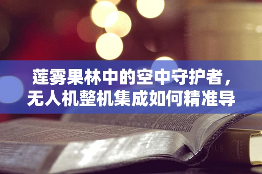 莲雾果林中的空中守护者，无人机整机集成如何精准导航？