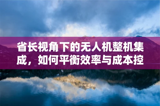 省长视角下的无人机整机集成，如何平衡效率与成本控制？