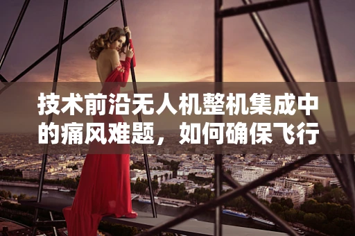 技术前沿无人机整机集成中的痛风难题，如何确保飞行安全与性能的双重保障？