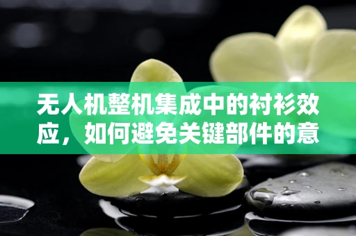 无人机整机集成中的衬衫效应，如何避免关键部件的意外换装？