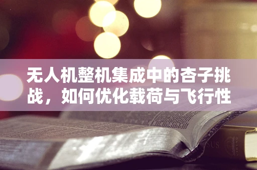 无人机整机集成中的杏子挑战，如何优化载荷与飞行性能的平衡？