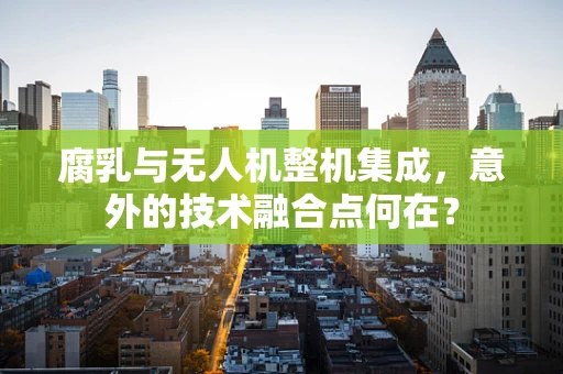 腐乳与无人机整机集成，意外的技术融合点何在？