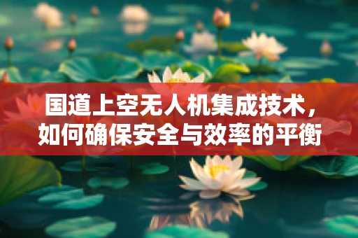 国道上空无人机集成技术，如何确保安全与效率的平衡？