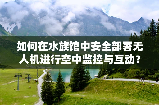 如何在水族馆中安全部署无人机进行空中监控与互动？