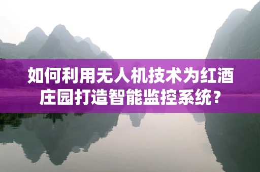 如何利用无人机技术为红酒庄园打造智能监控系统？
