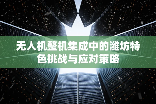 无人机整机集成中的潍坊特色挑战与应对策略