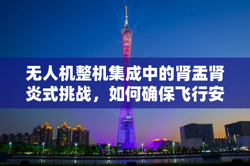 无人机整机集成中的肾盂肾炎式挑战，如何确保飞行安全与健康管理？