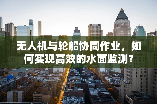 无人机与轮船协同作业，如何实现高效的水面监测？
