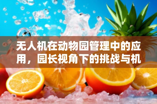 无人机在动物园管理中的应用，园长视角下的挑战与机遇