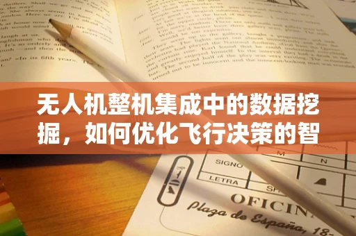 无人机整机集成中的数据挖掘，如何优化飞行决策的智慧之眼？