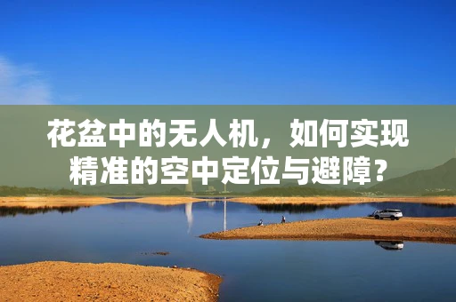 花盆中的无人机，如何实现精准的空中定位与避障？