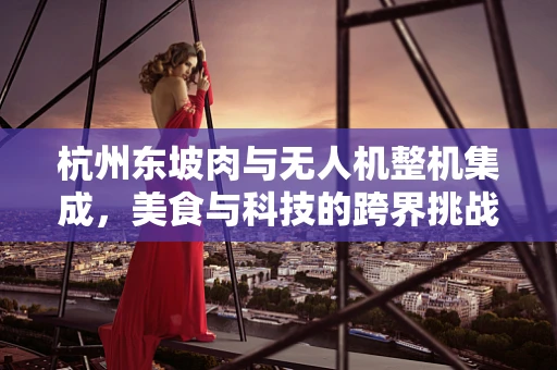 杭州东坡肉与无人机整机集成，美食与科技的跨界挑战